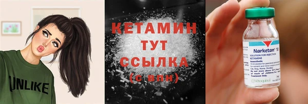 сатива Балахна