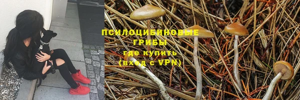 гидропоника Балабаново