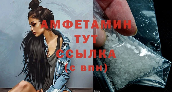 сатива Балахна